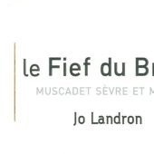 Jo Landron Muscadet Sevre & Maine Le Fief du Breil 2020