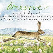 Amevive Ibarra-Young Vineyard Syrah 2023